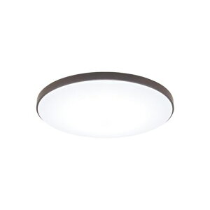 �y 8�� �z���{�� �p�i�\�j�b�N LED�V�[�����O���C�g �J���[�t���[���V���[�Y HH-CN0848A-T �E�b�f�B�O���C�� �E�H�[���i�b�g