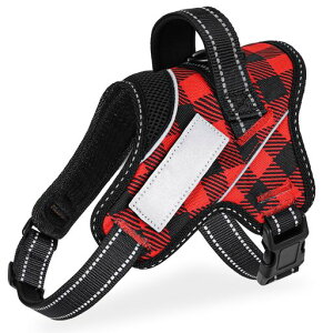 yhbOg[i[EzOGURIYAn[lXAɗD^^^EȒPFl[v[gԔ˃TCY\̍HwɊÂ7FI(ԍ`FbNS)