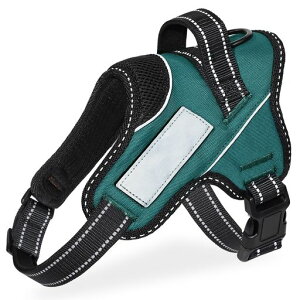 yhbOg[i[EzOGURIYAn[lXAɗD^^^EȒPFl[v[gԔ˃TCY\̍HwɊÂ7FI(_[NO[S)