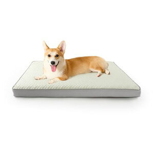 Peto-RaifuxbhNbVxbhybgxbhybg\t@[xbhĂЂ⊴⊴xbh􂦂ӂӂ팢Qh~ߘV쏰h~ʔNgpHc^^̑c