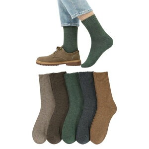 [DAMILY]~CYg\bNXYXL[h\bNXۉjCNю~poRX|[czhL5ZbgAEghA23-27cm