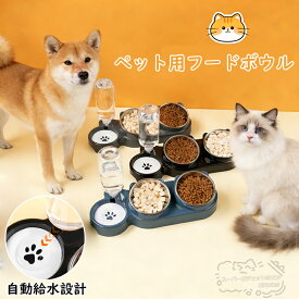 猫 ペット食器 ペットボウル おしゃれ ぺット用フードボウル 小型犬 傾斜 水飲み器 広口 仕切り付き設計 水飲み 餌入れ 自動給水 抗菌 洗いやすい 分解できる 乾湿分離 こぼれにくい 衛生的な 猫 犬 ペット用品 猫皿 餌皿 ご飯台 餌台 食器台 フードボール