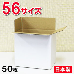  _{[ 56TCY(80TCYȓ) (21.4×14.4×19.5cm)y50Zbgz{ p z } zCg i{[ p @z [ No.2-1