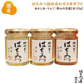 はちみつ 国産 純粋はちみつ 蜂蜜 【国産蜂蜜ギフト】あかしあ りんご 野山の花蜜120g×3本セット はちみつ 国産 ギフト 蜂蜜 非加熱 ハニー 国産蜂蜜ギフト 生はちみつ 美味しい パン 紅茶 おすすめ プレゼント 健康 人気 男性 女性 子供
