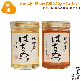 はちみつ 国産 純粋はちみつ 蜂蜜 【国産蜂蜜ギフト】あかしあ 野山の花蜜 220g ×2本セット はちみつ 国産 ギフト 蜂蜜 非加熱 ハニー 国産蜂蜜ギフト 国産 生はちみつ 美味しい パン 紅茶 おすすめ プレゼント 健康 人気 男性 女性 子供 母の日