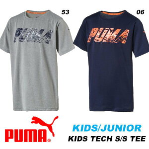 ���[���֔��� ���[���yPUMA�z�v�[�} ���� �L�b�Y TECH SS T�V���c �L�b�Y �W���j�A T�V���c �g�b�v�X �q�ǂ��� 852195