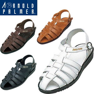  _C}c yA[mhp[}[zArnord Palmer MEN Y {vT_ amC(ap6611-arn1)