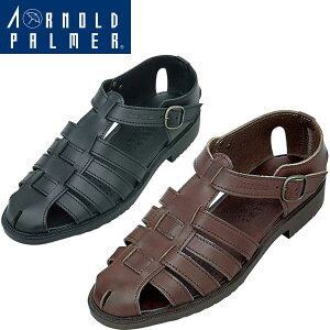  _C}c yA[mhp[}[zArnord Palmer MEN Y {vT_ amC(ap6621-arn1)