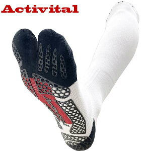 ���������[���֔��� ���A�N�e�B�o�C�^���� Activital PRO�x�[�X�{�[�� HRD1086 HRD1086-WH11 (WH�F�z���C�g)