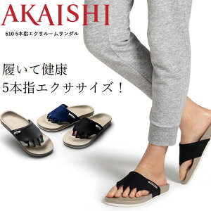  AJCV AKAISHI A[`tBb^[ 610 5{wT_ b GNT[T_ NT_ AF610016