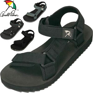  _C}c Arnold Palmer A[mhp[}[ Y p[}[V[ AL5051