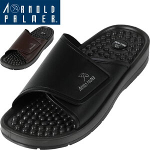  _C}c Arnold Palmer MEN A[mhp[}[ Jo[NT_ Y AP4301