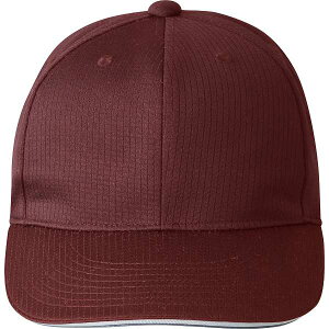  fTg DESCENTE AJLbv DB5SCP01M (WR00FCbh) 싅E\tg{[ DB5SCP01M-WR00