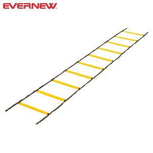  Goj[ Evernew \tg_[g[jO[v EGA480