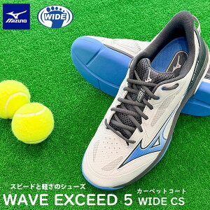 yz ~Ym MIZUNO EG[uGNV[h 5 WIDE CS(jZbNX) 61GR2311 (03) ejX
