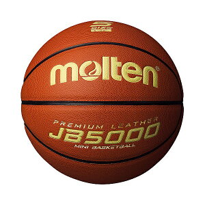 ���� �������e���� MOLTEN JB5000�y�� B5C5000L (�o�X�P�b�g�{�[��)