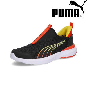  v[} PUMA N[Y PROFOAM EASE IN AC+PS 310250 (01) Xj[J[