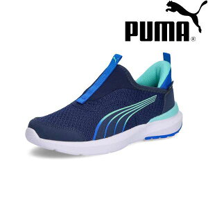  v[} PUMA N[Y PROFOAM EASE IN AC+PS 310250 (02) Xj[J[