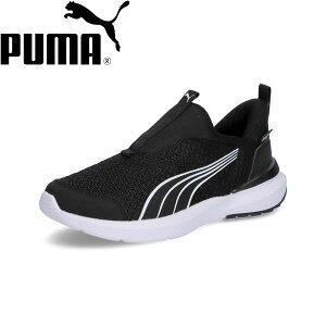  v[} PUMA N[Y PROFOAM EASE IN AC+PS 310250 (04) Xj[J[