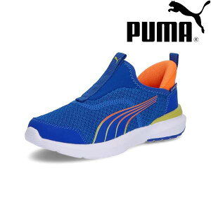  v[} PUMA N[Y PROFOAM EASE IN PS 310250 (07) Xj[J[