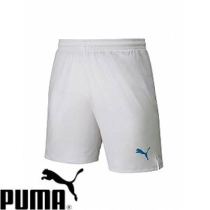 [֔ v[} PUMA LIGA Q[pc RA WjA 729972 (06) TbJ[EtbgT