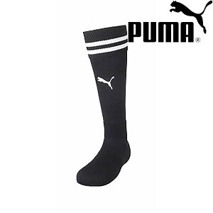 [֔ v[} PUMA CC WjA XgbLO 729882 (03) TbJ[EtbgT