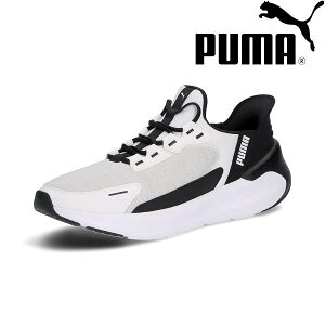  v[} PUMA SOFTRIDE Vg[ EASE IN 312669 (01) jOV[Y
