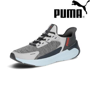  v[} PUMA SOFTRIDE Vg[ EASE IN 312669 (03) jOV[Y