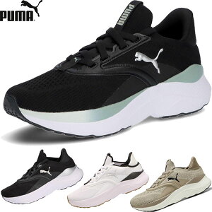  v[} PUMA \tgCh Cu EBY fB[X jOV[Y 310160