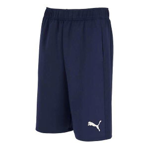�������[���֔��� ���v�[�}�� PUMA teamFINAL TR HALF �p���c 660805 (06) �T�b�J�[�E�t�b�g�T��
