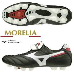 [ yMIZUNOz~Ym AII JAPAN TbJ[XpCN jZbNX P1GA200001