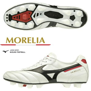 [ yMIZUNOz~Ym AII JAPAN TbJ[XpCN jZbNX P1GA200109