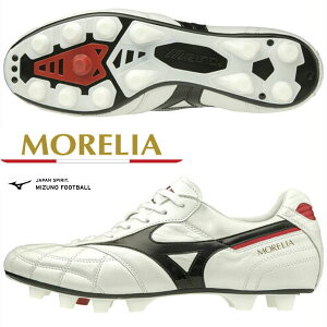 [ yMIZUNOz~Ym AII JAPAN TbJ[XpCN jZbNX P1GA200209