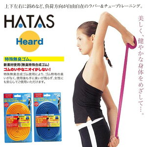 [֔ [yHATASz`^H RB TRAINING TUBE g[jO`[u n[h^Cv 20R2000H