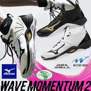 [yMIZUNOz~Ym EG[u[^ 2 o[{[ jZbNX V1GA2112