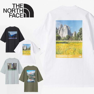 ���[���֔��� ���[���yTHE NORTH FACE�z�m�[�X�t�F�C�X �V���[�g�X���[�u���Z�~�e�V�[�i���[�e�B�[ ���j�Z�b�N�X NT32436
