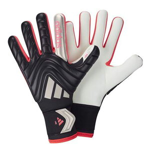 [ yadidaszAfB_X RpGK O[u [OL[p[O[u JTJ49