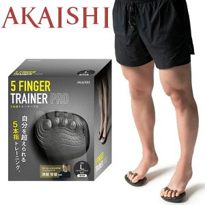 [ yAKAISHIzAJCV 5{w g[i[PRO ubN L HB133BK