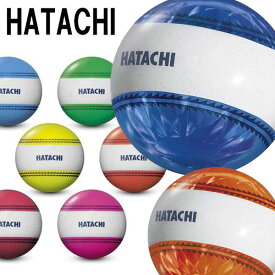 定形外発送 即納可★【HATACHI】ハタチ ナビゲーションボール グラウンドゴルフ ボール BH3851