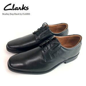 [yClarkszN[NX Tilden Plain eBfv[ ubNU[ rWlXV[Y 26110350