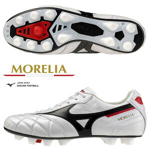 [ yMIZUNOz~Ym AII JAPAN TbJ[^tbg{[ jZbNX P1GA2502 09