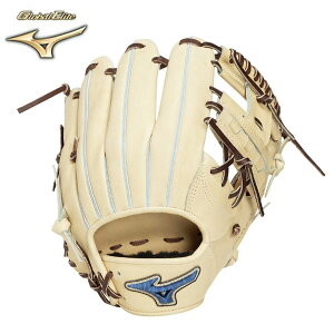���[�� �yMIZUNO�z�~�Y�m �d���p�y�O���[�o���G���[�g�zPRO�y�����p(GE-DP6)�^�T�C�Y10�z 1AJGH34303