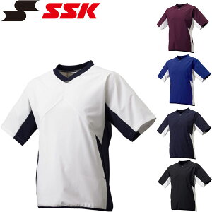 [֔ yz GXGXPC jZbNX V{fBOWPbg 싅 BWP2004H