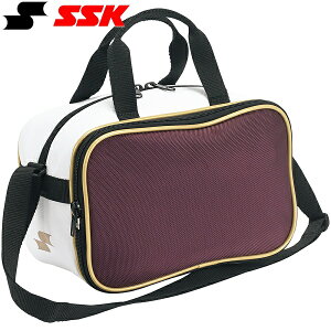  GXGXPC SSK ~jV_[obO BA6100 (2238)