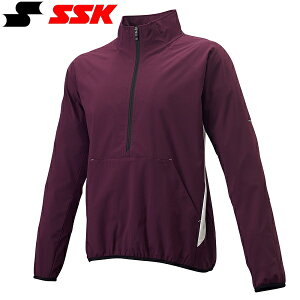  GXGXPC SSK n[tZIP{fBOWPbg BWP2002 (2210)