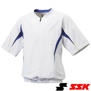 ���� ���G�X�G�X�P�C�� SSK �n�[�tZIP���������b�V���v���W���� BWP2411H (1063)