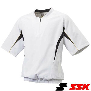  GXGXPC SSK n[tZIPbVvW BWP2411H (1090)