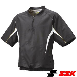 ���� ���G�X�G�X�P�C�� SSK �n�[�tZIP���������b�V���v���W���� BWP2411H (9010)