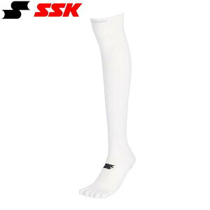 [֔ GXGXPC SSK 5{wT|[g\bNX YA2429 (10)