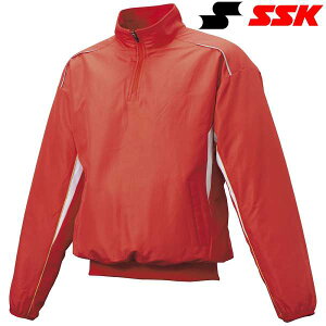  GXGXPC SSK ~Mn[tZIPȃvW BWP2400 (2010)